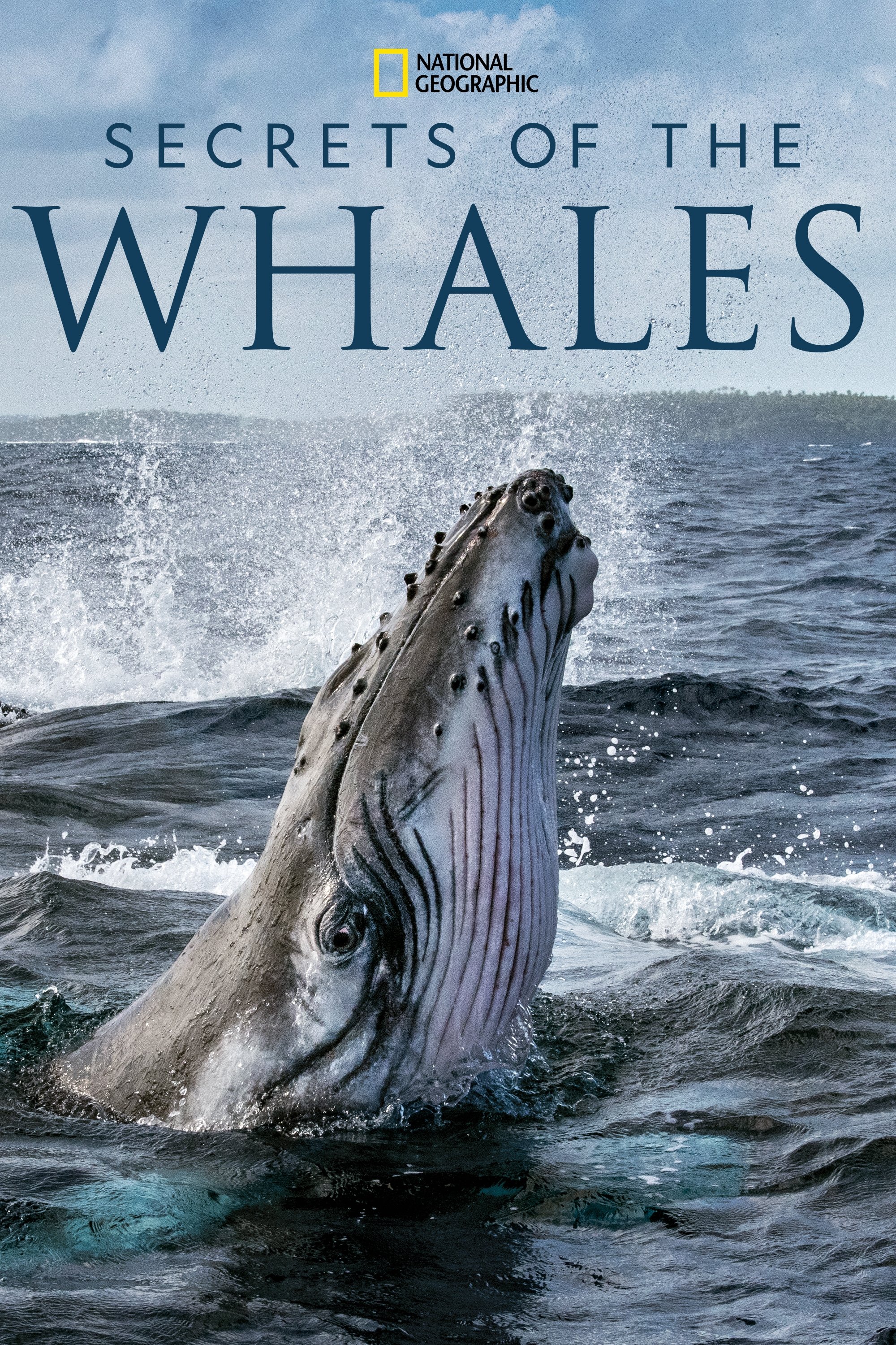 Secrets of the Whales - Season 1 [84611] (A1772247419) [[Shows 2.0]] --Plex--